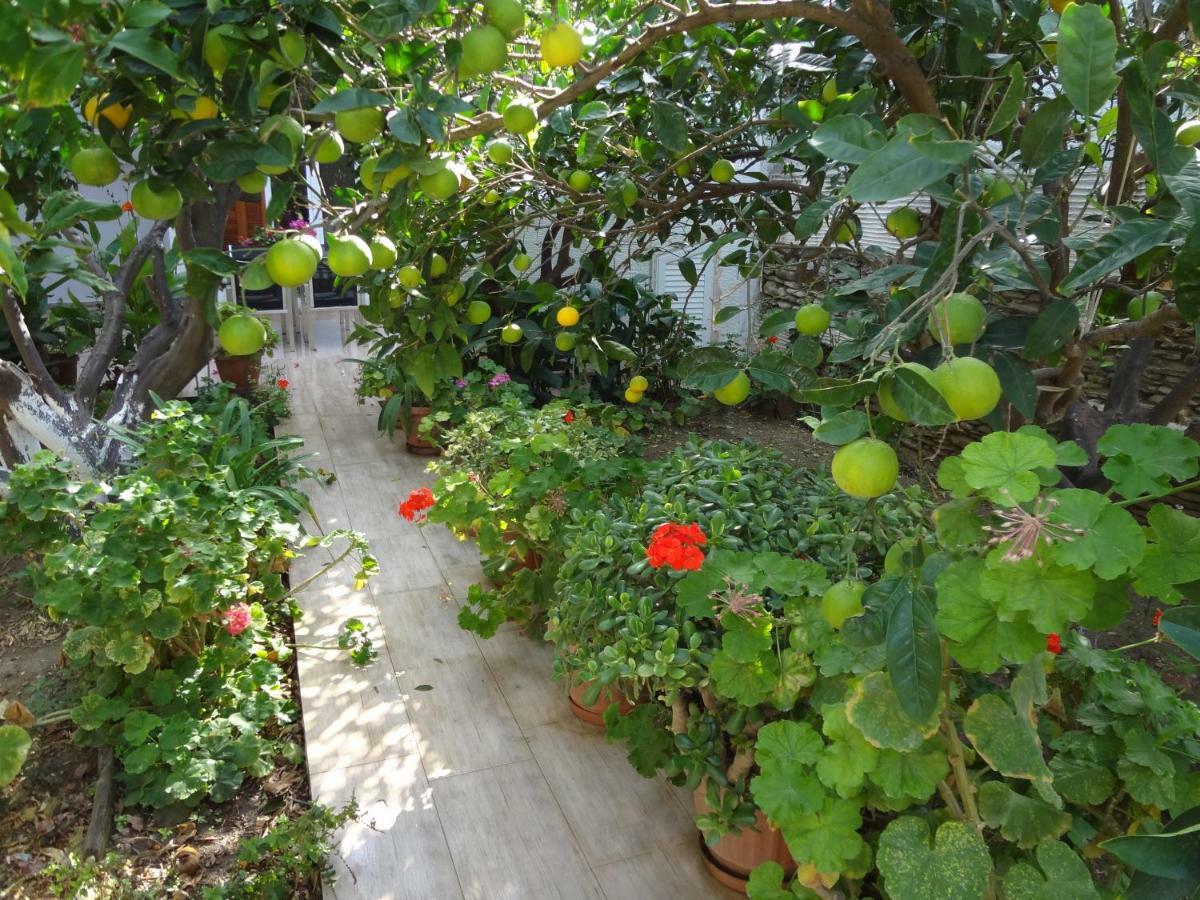 Cozy Citrus Garden House By The Seaside. Βίλα Khónias Εξωτερικό φωτογραφία