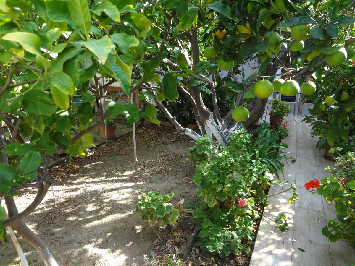 Cozy Citrus Garden House By The Seaside. Βίλα Khónias Εξωτερικό φωτογραφία